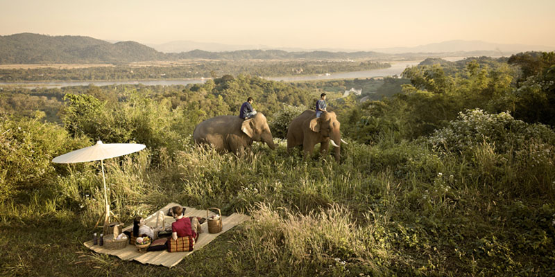 Elephant Camp Jungle Retreat