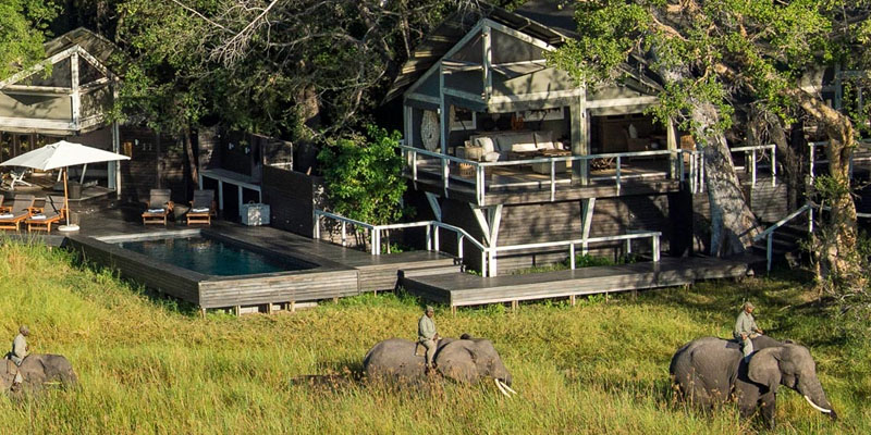 Okavango Delta Experience
