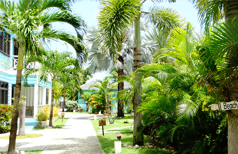Buccaneer Beach Club | Prestige World Antigua Holidays