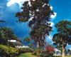 Jamaica Inn Hotel, Jamaica