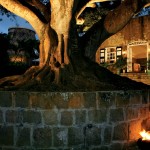 Montpelier Plantation & Beach, Nevis