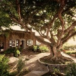 Montpelier Plantation & Beach, Nevis