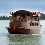 Cruise & Elephant Discovery Experience - Thailand