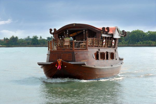 Cruise & Elephant Discovery Experience - Thailand