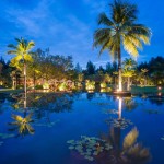 Sarojin Essential Tranquility