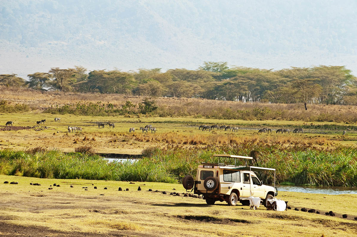 Sky Safari & Island Experience