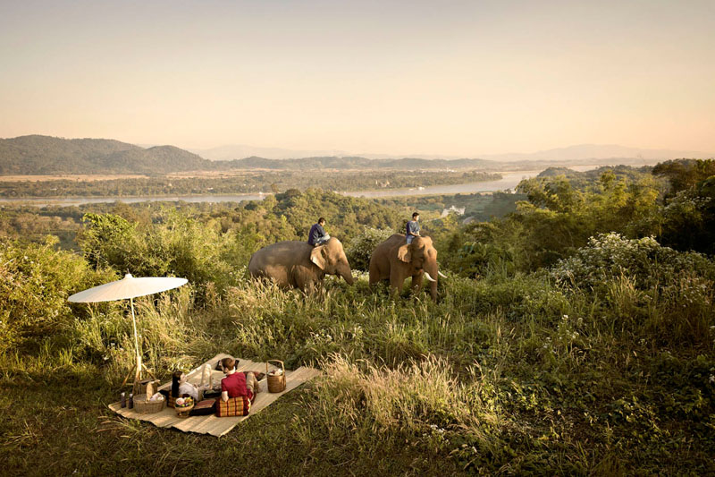 Elephant Discovery Experience