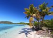 Tortola