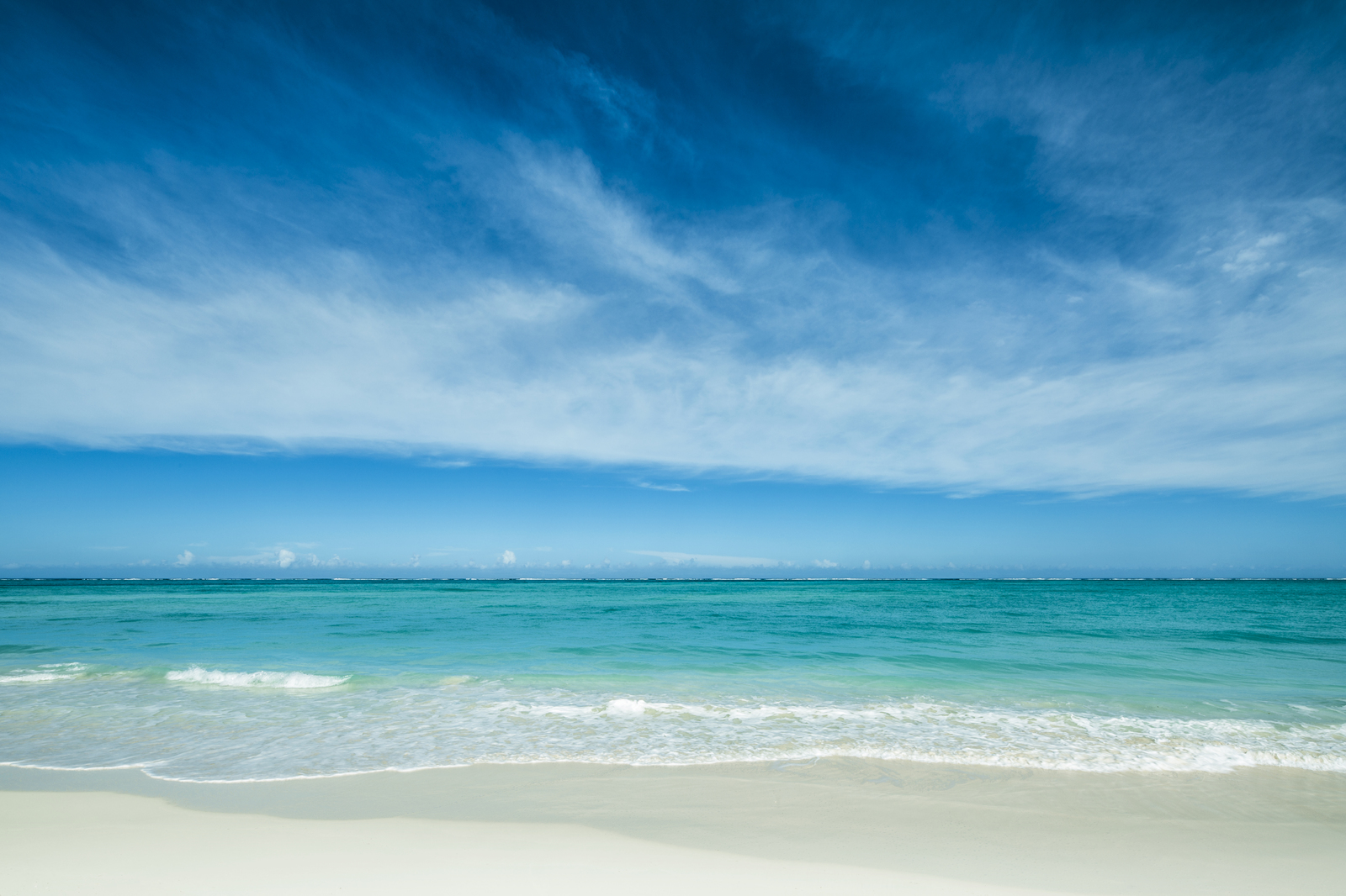 mm904_Parrot_Cay