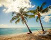 Sugar Bay Hotel Barbados