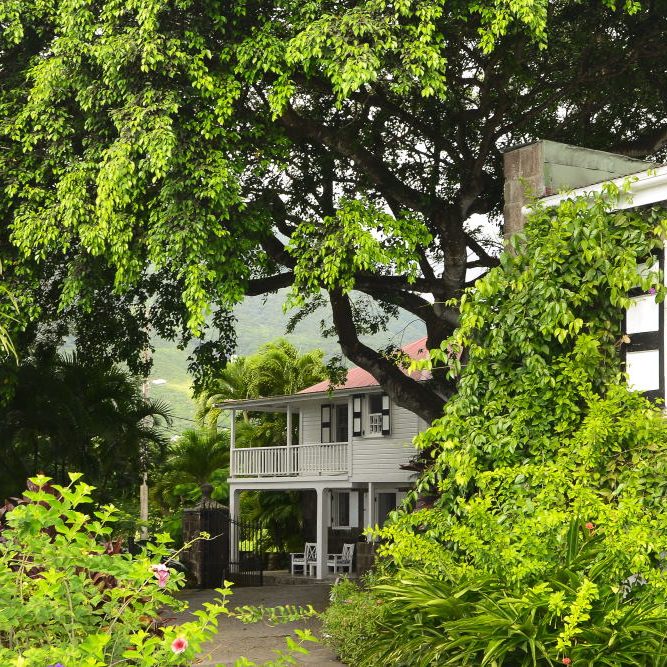 Montpellier Plantation Nevis