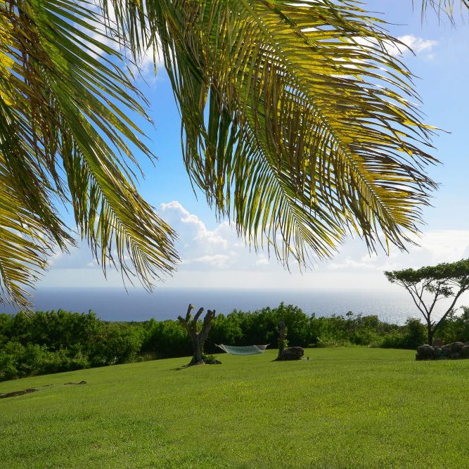 Montpellier Plantation Nevis