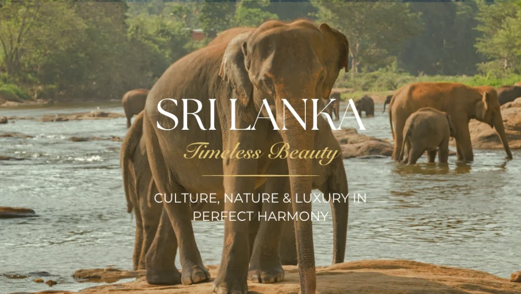 Luxury Holidays to Sri Lanka with Prestige World